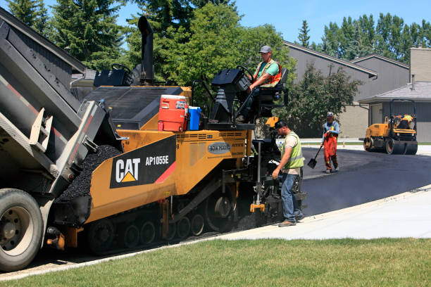 Best Professional Driveway Pavers  in Somerdale, NJ